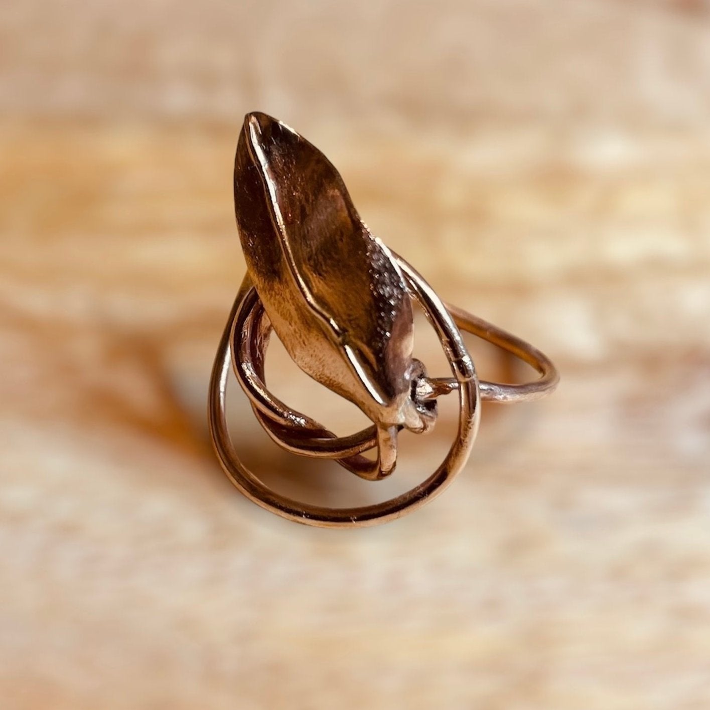 'Autumn', anello in bronzo e argento - pezzo unico